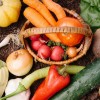 ウラマヨ　急成長の野菜通販オイシックスの裏側や特徴とは？