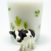 マツコの知らない世界に出演したミルク研究家の小山浩子さんの紹介する牛乳が珍しいって？