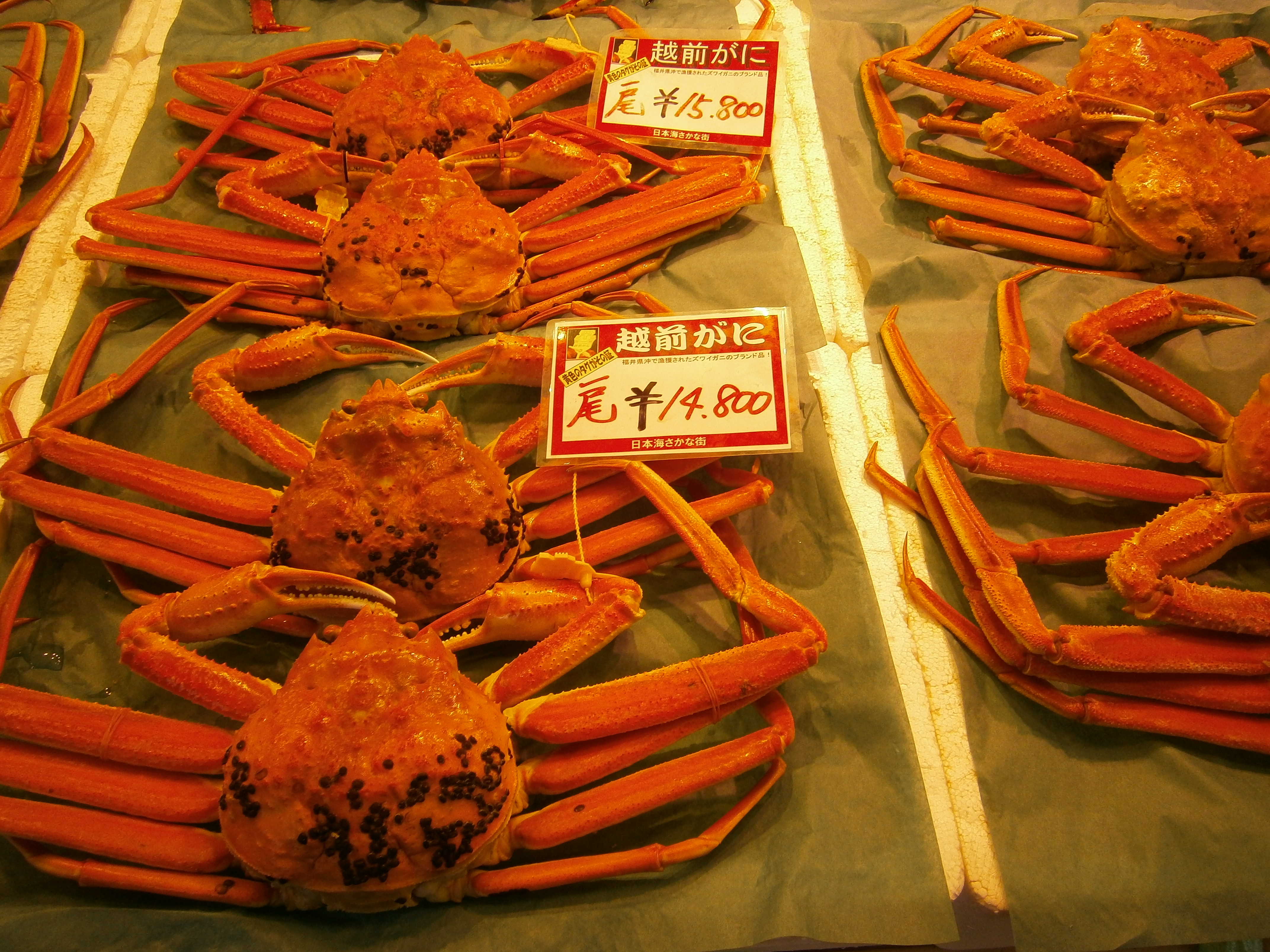 ヒルナンデスで北陸金沢で紹介された金箔や近江町市場で海鮮丼やカニを食べれる？